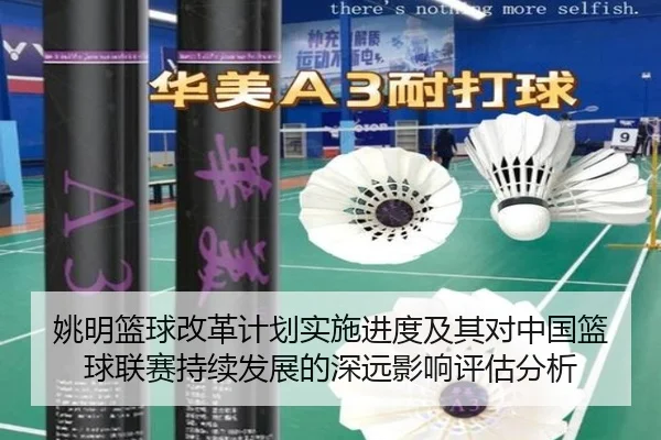 姚明篮球改革计划实施进度及其对中国篮球联赛持续发展的深远影响评估分析